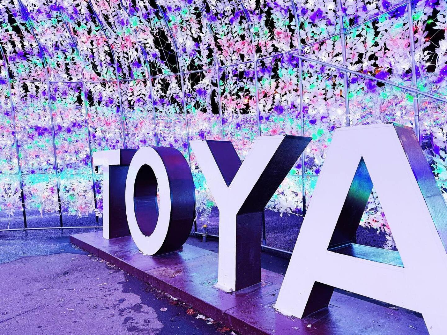 レイクトーヤビルディング Lejlighed Toyako Eksteriør billede